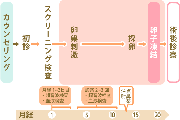 卵子凍結の費用とは？将来の妊娠につながる社会的卵子凍結を解説 にしたんartクリニック