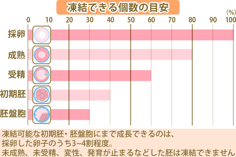 胚盤胞移植で着床率を上げるには?妊娠の確率を高める方法を解説 | にしたんARTクリニック