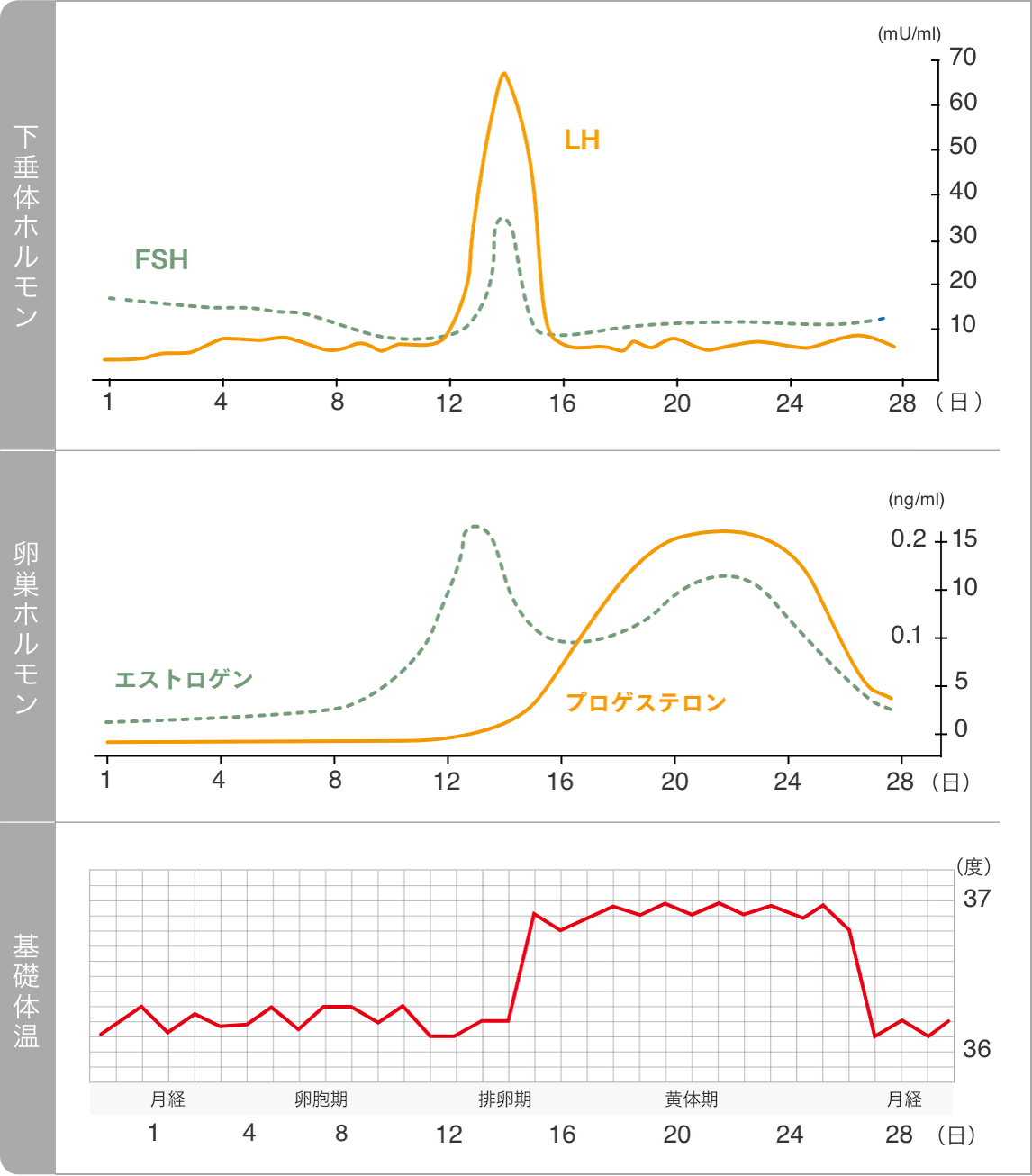 ホルモンの検査