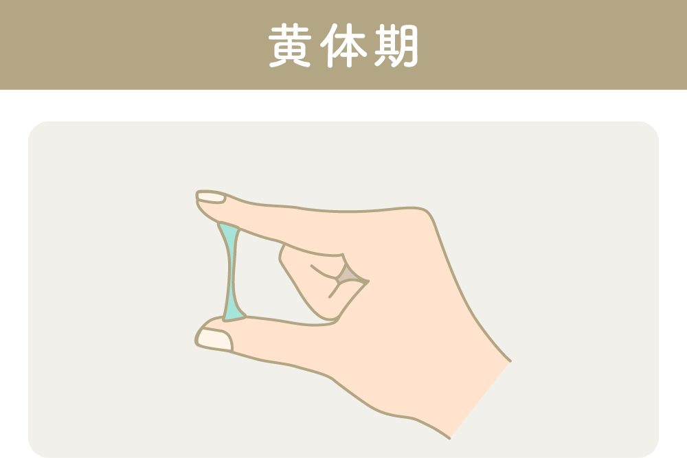 伸びるおりものと妊娠の関係とは？分泌を増やす方法を紹介