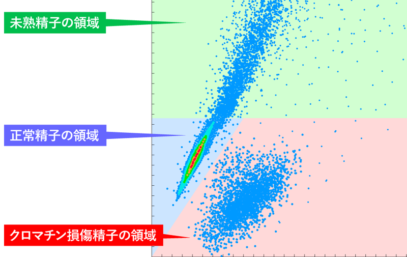 TAC検査の結果の見方